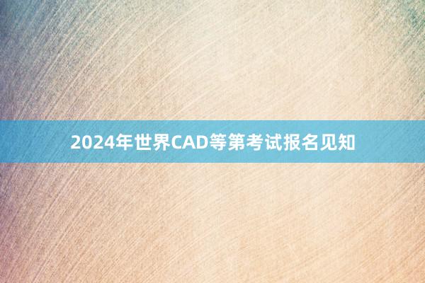2024年世界CAD等第考试报名见知